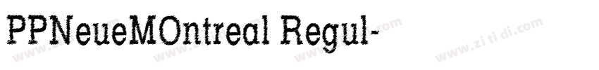 PPNeueMOntreal Regul字体转换